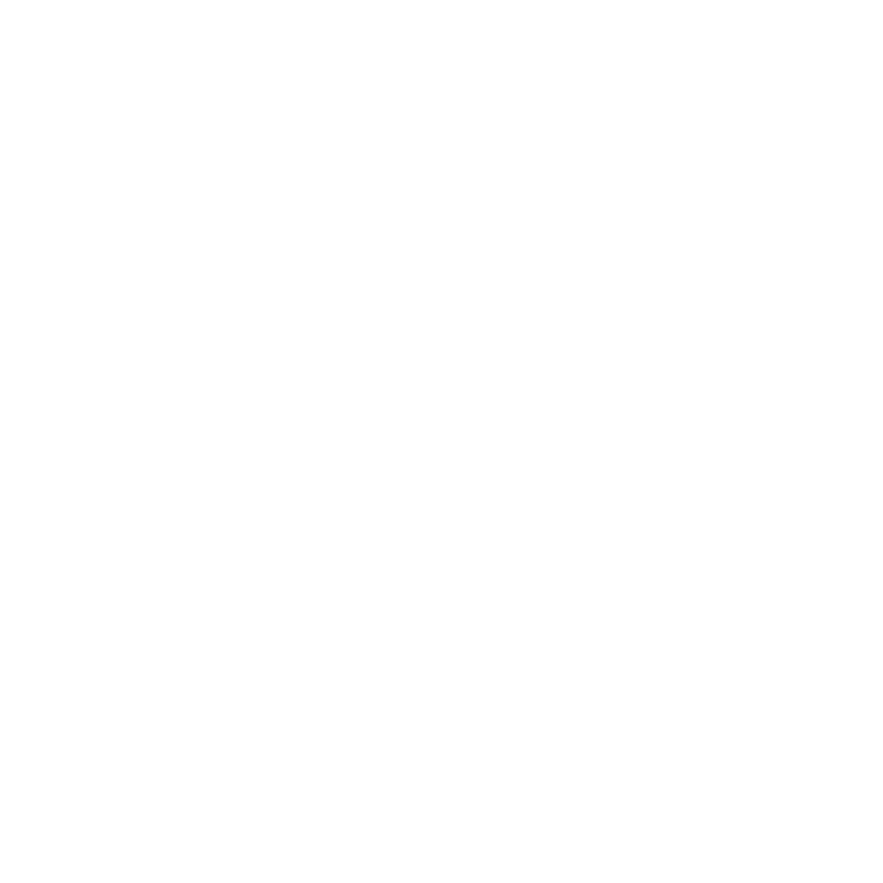 Accounting Consultancies